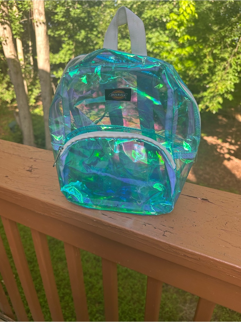 Dickies iridescent clear backpack